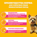 Влажный корм для миниатюрных собак PEDIGREE Говядина паштет 85 г30