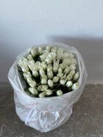 Букет из белой розы (40см) 51 шт в оформлении