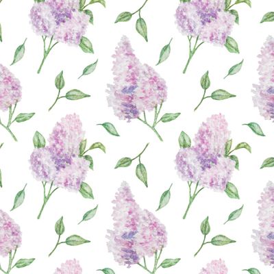 Сирень, ветка