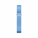 Google Fitbit Air