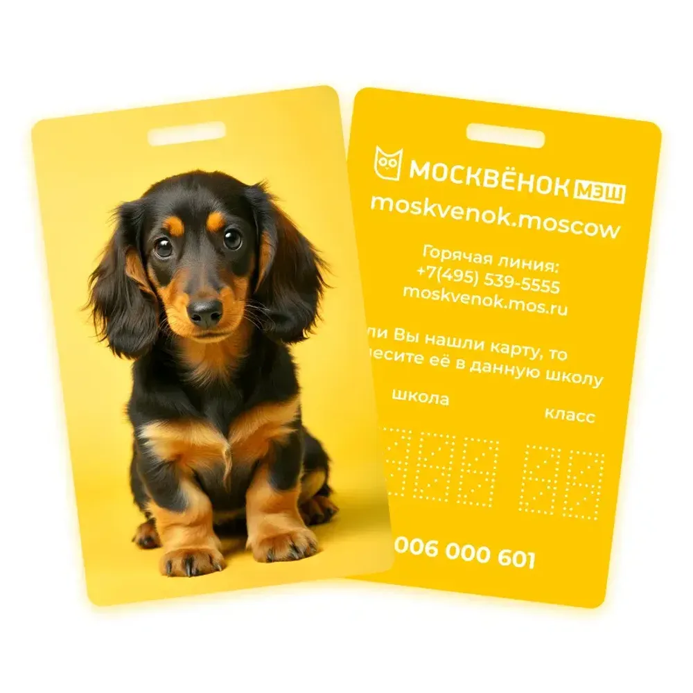 Карта Москвёнок ANIMALS №13 (проход + питание)