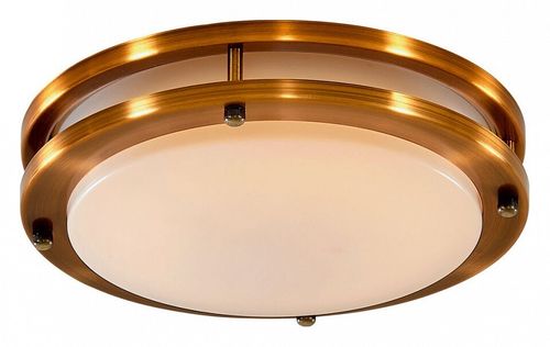 Накладной светильник Citilux CL709203N