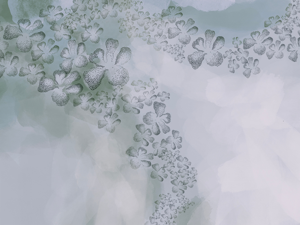 Коллекция ASTRAL 22