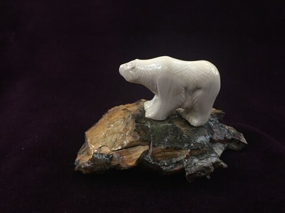 Белый медведь на скале