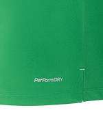 Футболка вратарская JÖGEL NATIONAL PerFormDRY GK Jersey, зеленый