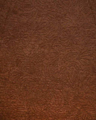 Шенилл Полюшко