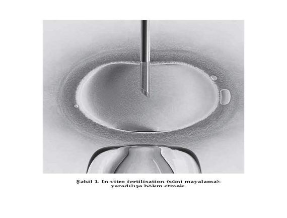 Homo Deus. Sabahın Qısa Tarixi