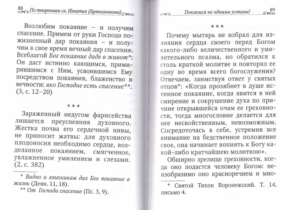 Покаяние - путь ко спасению. По творениям свт. Игнатия (Брянчанинова)