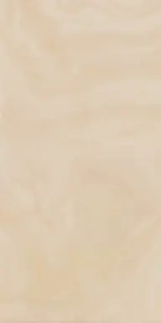 CHARM EVO ONYX (ШАРМ ЭВО ОНИКС) ЛЮКС 1200*600 керамогранит, полированный