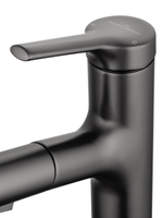 Смеситель для раковины с выдвижным изливом WONZON & WOGHAND, Темный графит (WW-A40862-BGG)