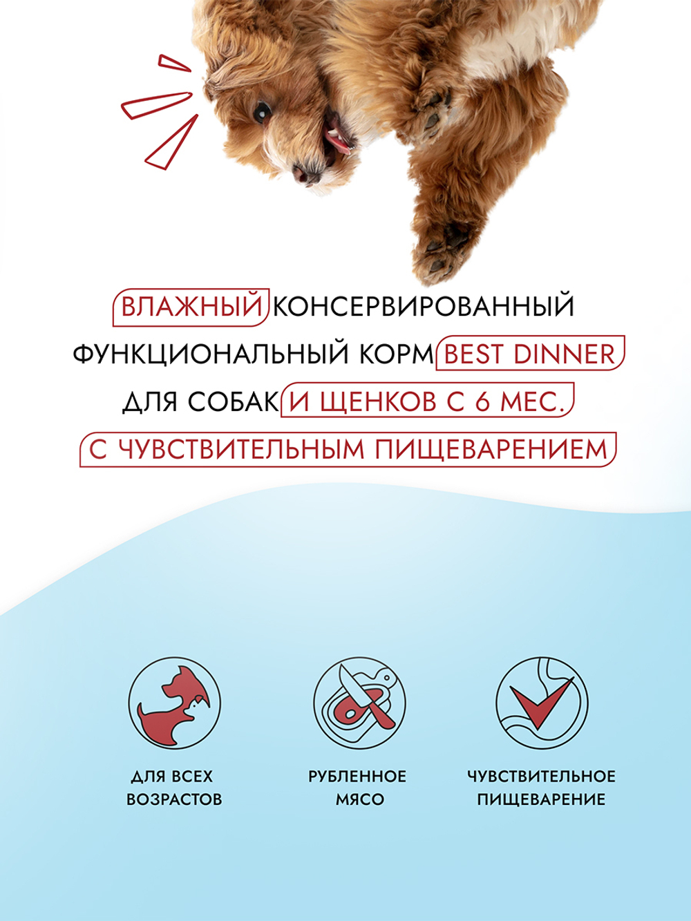 Консервы Best Dinner Dog Vet Profi Gastro Intestinal паштет Говядина сердце 12шт х 100г