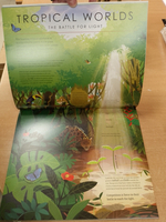 The Green Planet: For young wildlife-lovers inspired by David Attenborough's series