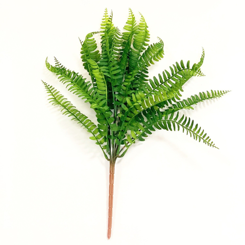 Папоротник нефролепис GGP 48 см