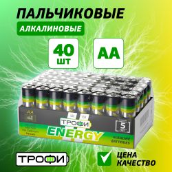 Батарейки Трофи LR6-40 bulk ENERGY Alkaline