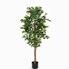 Лимонное дерево высота 150 см