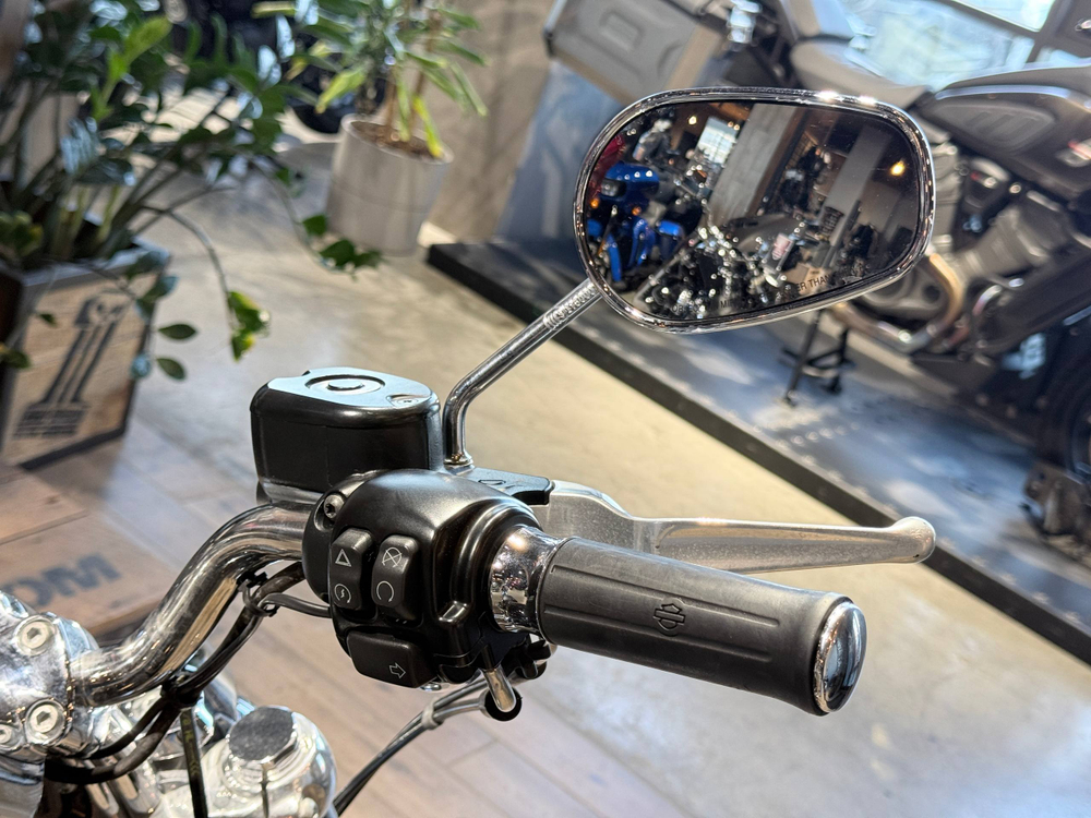 Harley-Davidson Sportster 1200 Custom (2017)