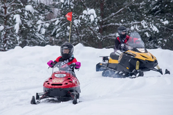 Снегоход РМ ТАЙГА РЫСЬ