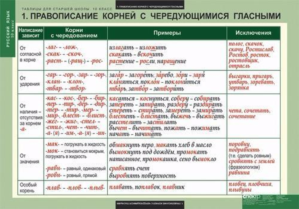 Русский язык. Грамматика