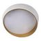 Потолочный светодиодный светильник Loft IT Coin 10199 White