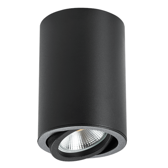 Потолочный светильник Lightstar Rullo 214407