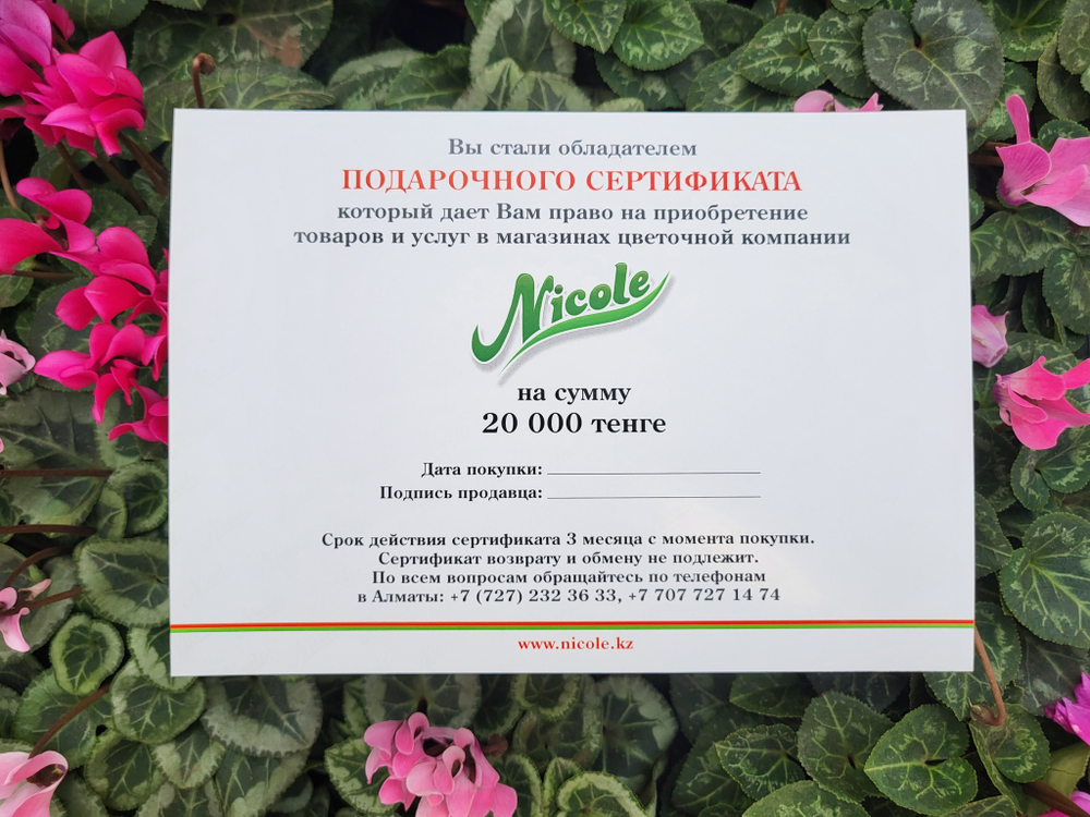 Подарочный сертификат на 20 000 тг