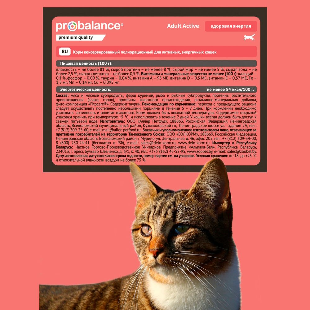 Консервы ProBalance Active для кошек, ведущих активный образ жизни Консервы ProBalance Active для кошек, ведущих активный образ жизни