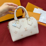 Louis Vuitton Speedy 20