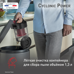 Пылесос с контейнером Tefal Cyclonic Power TW1923RH