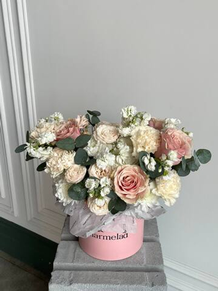 собран сегодня #04