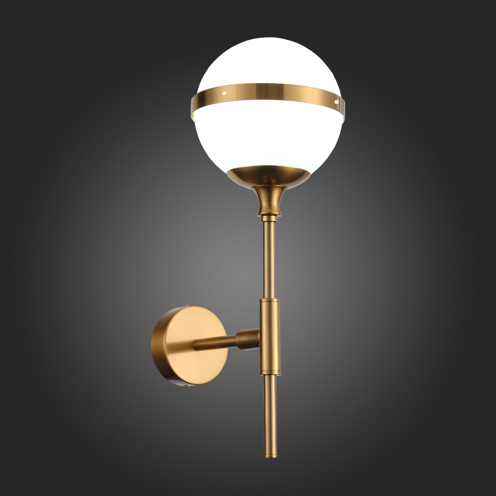 Светильник настенный ST Luce Arbe SL1157.301.01