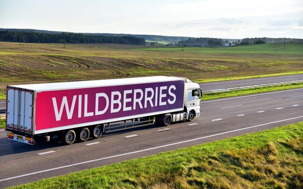 Wildberries: число заказов детских товаров выросло на 338% в первый день «детских выплат»