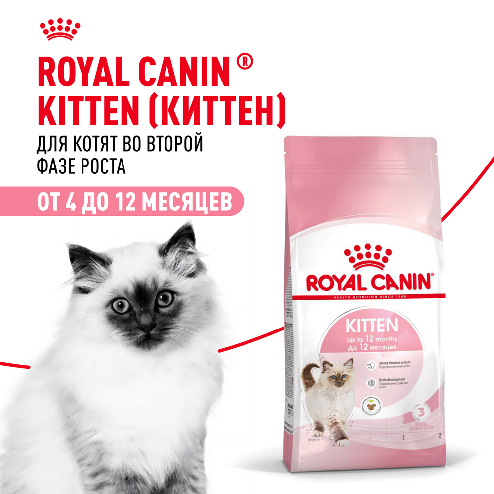 Royal Canin Kitten Корм сухой сбалансированный для котят в период второй фазы роста до 12 месяцев 0,3 кг
