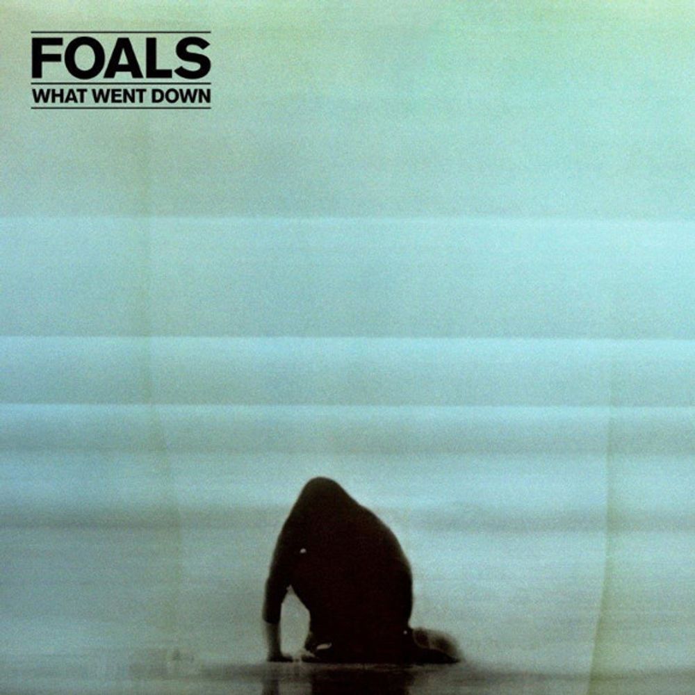 Foals / What Went Down (RU)(CD)