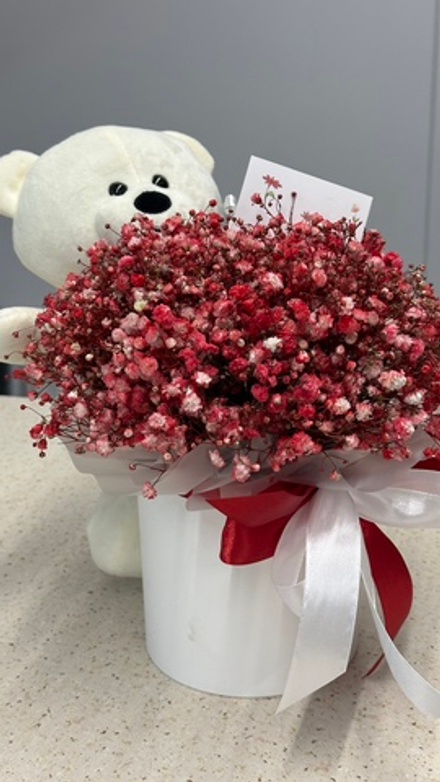 Цилиндр с окрашенной гипсофилой