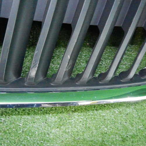 Решетка радиатора Skoda Rapid (2012-2020)