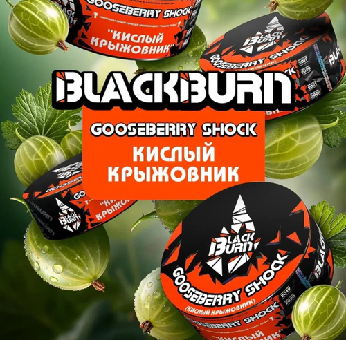 BlackBurn 100гр. Gooseberry Shock (Кислый крыжовник) (М)