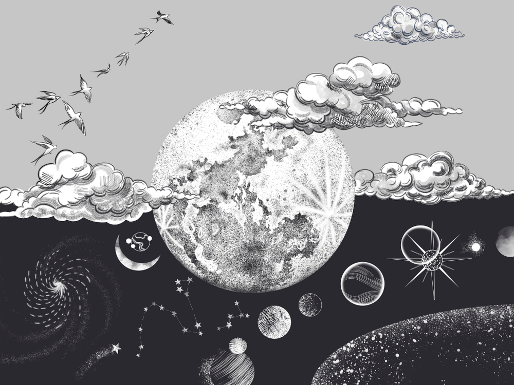 Коллекция COSMOS