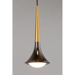 Подвесной светодиодный светильник Aployt Agas APL.784.06.05