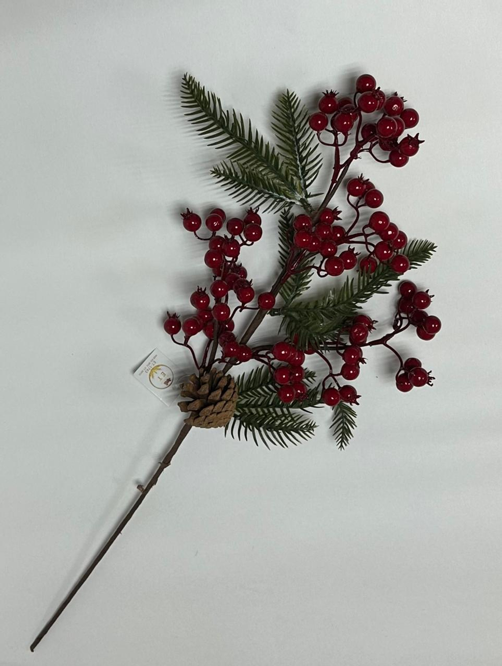 Ветка елка с ягодами