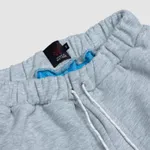 Брюки Wataga Plaincargo Серый меланж