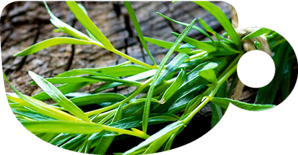 Puer Hookah Mix - Mountain Tarragon (100g)