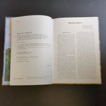 Книга - Древнее искусство Удмуртии - Иванова Куликов - Ижевск 2000 год - тир. 2000 экземпляров