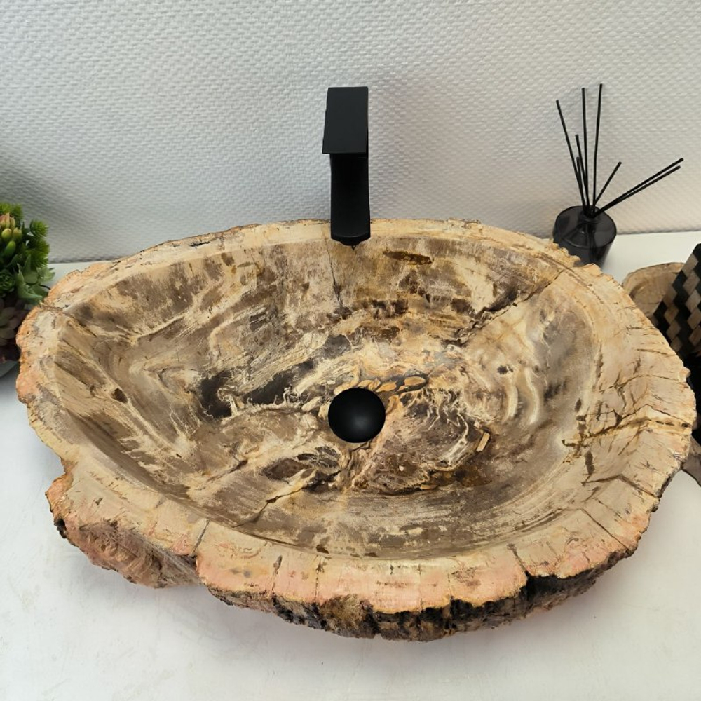 Раковина из окаменелого дерева FossilBasin OD-62388 68*43*16