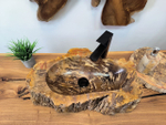 Раковина из окаменелого дерева OD-65683 60х36х15 из натурального камня