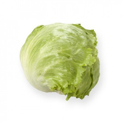 Платинас семена салата айсберг (Rijk Zwaan / Райк Цваан)