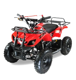 Квадроцикл MOTAX ATV Mini Grizlik X-16 (мех.)