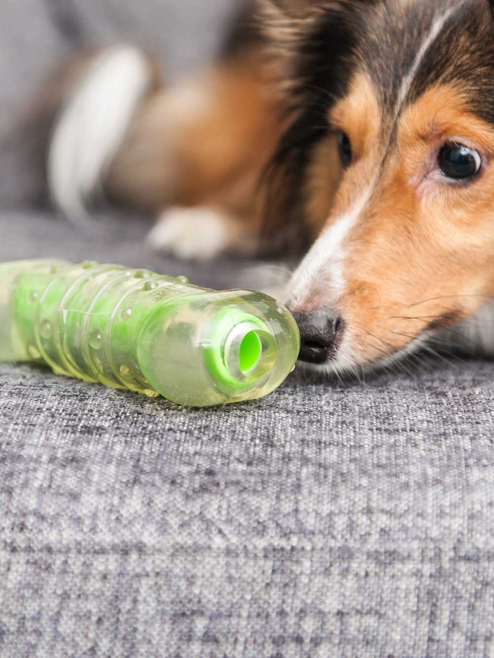 Petstages игрушка для собак "Хрустящая косточка" резиновая 10 см малая