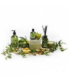 Жидкое мыло для рук и тела Цитрусовые сады, Christian Tortu