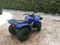Квадроцикл GRIZZLY 125