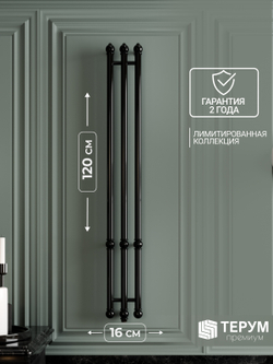 Полотенцесушитель Винтаж 3 120х16 Черный лак